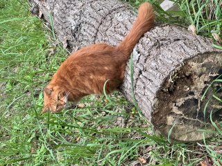 Image: 20251018_065601292_iOS.jpg