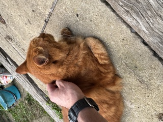 Image: 20251018_070159221_iOS.jpg