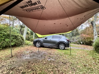 Image: 20251108_220702689_iOS.jpg