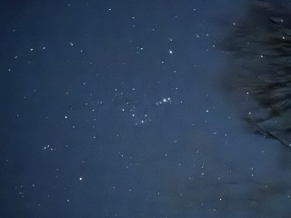 Image: 20251227_121855426_iOS.jpg