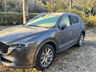 Image: 20251227_225715546_iOS.jpg